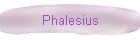 Phalesius